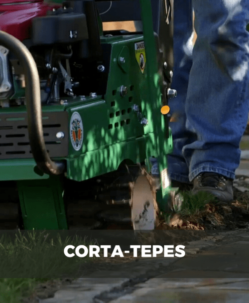 Cortatepes (o Corta-Tepes)